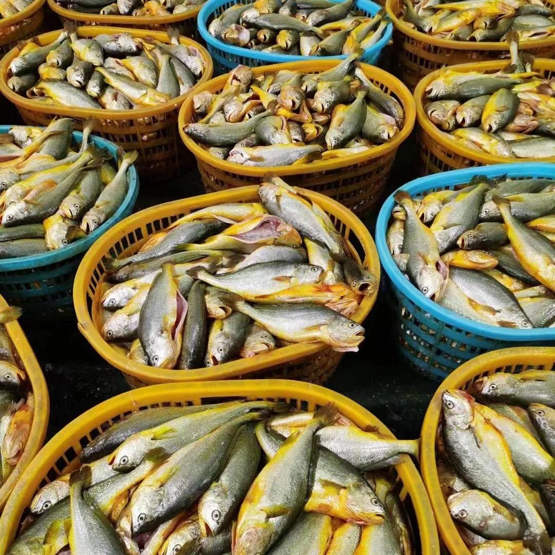 叶子生鲜食品