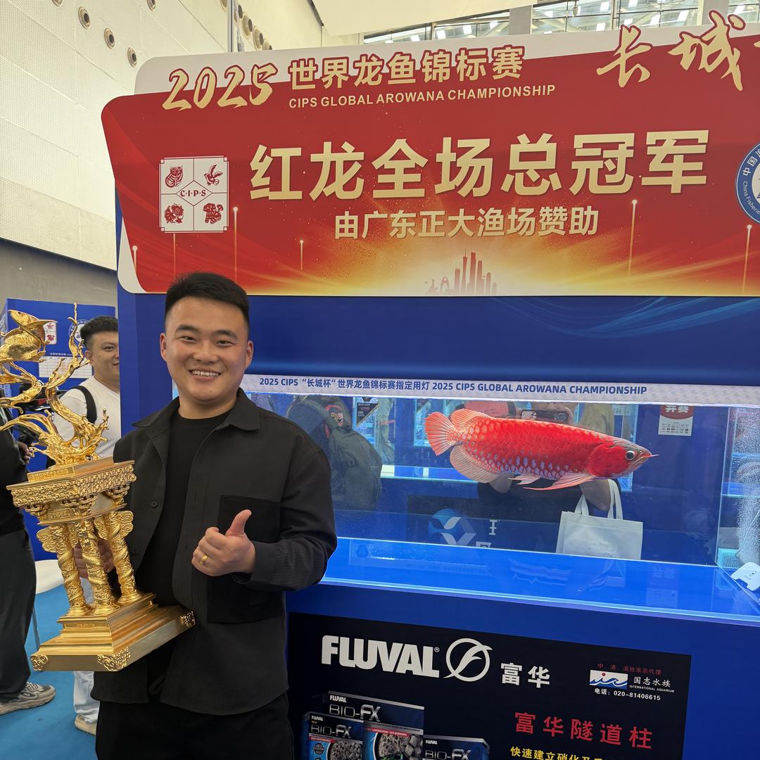 （RSK）聊城K牌龙鱼工作室