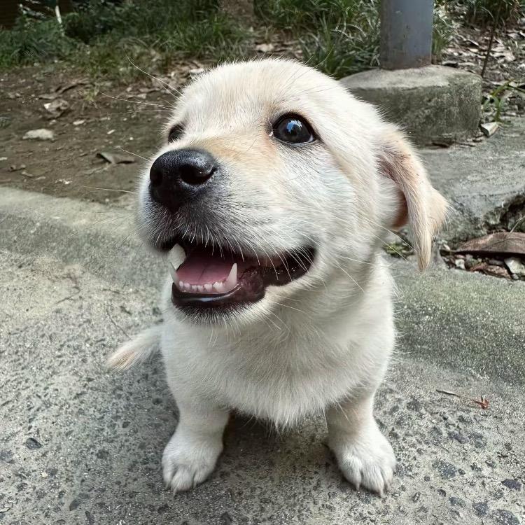 天小宏