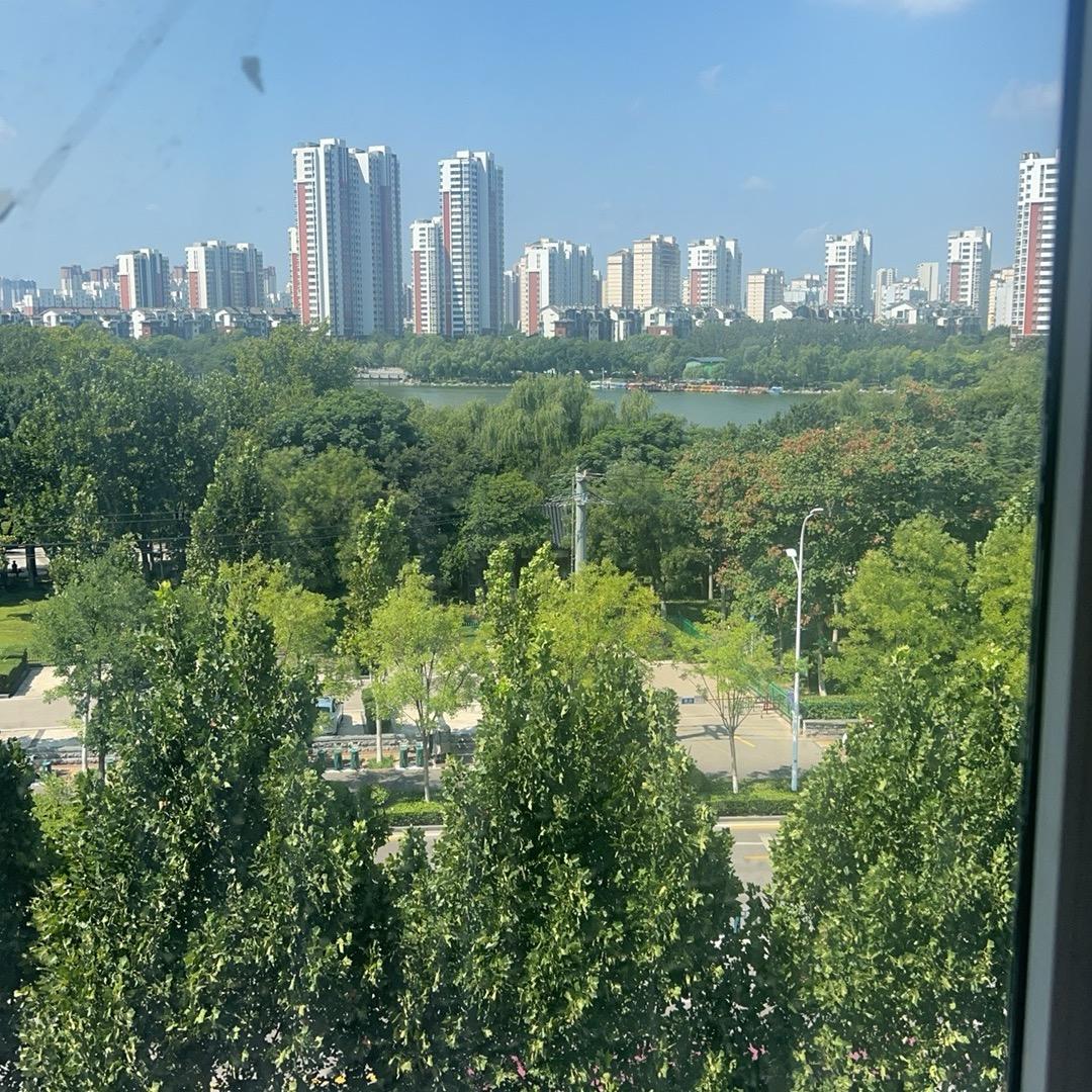 三羊开泰首播