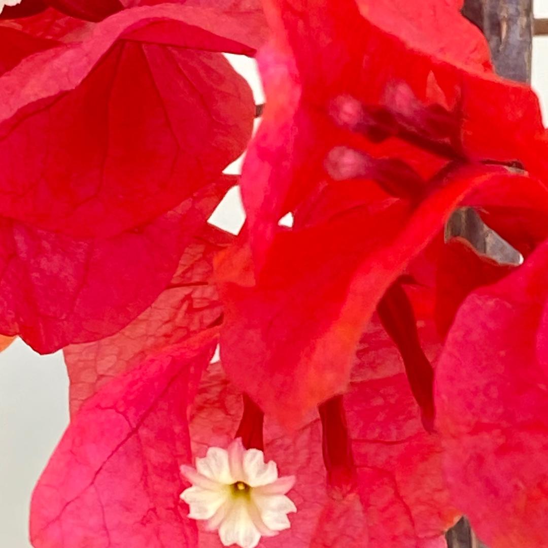 我不记得填写昵称