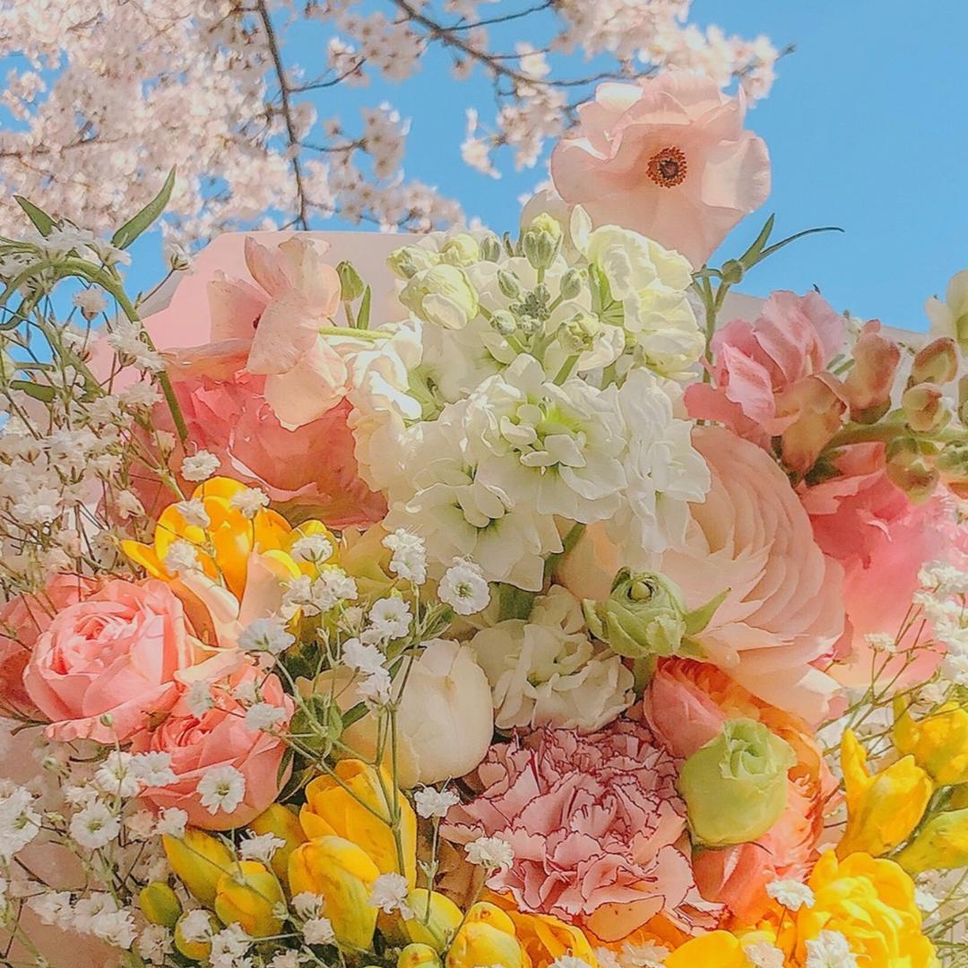 先谋生！再谋爱