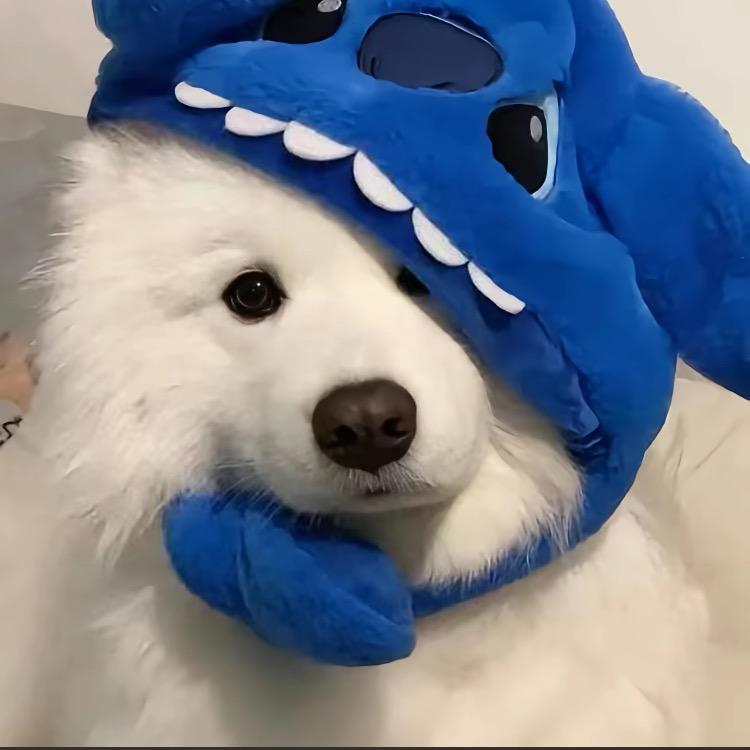 叶子科普