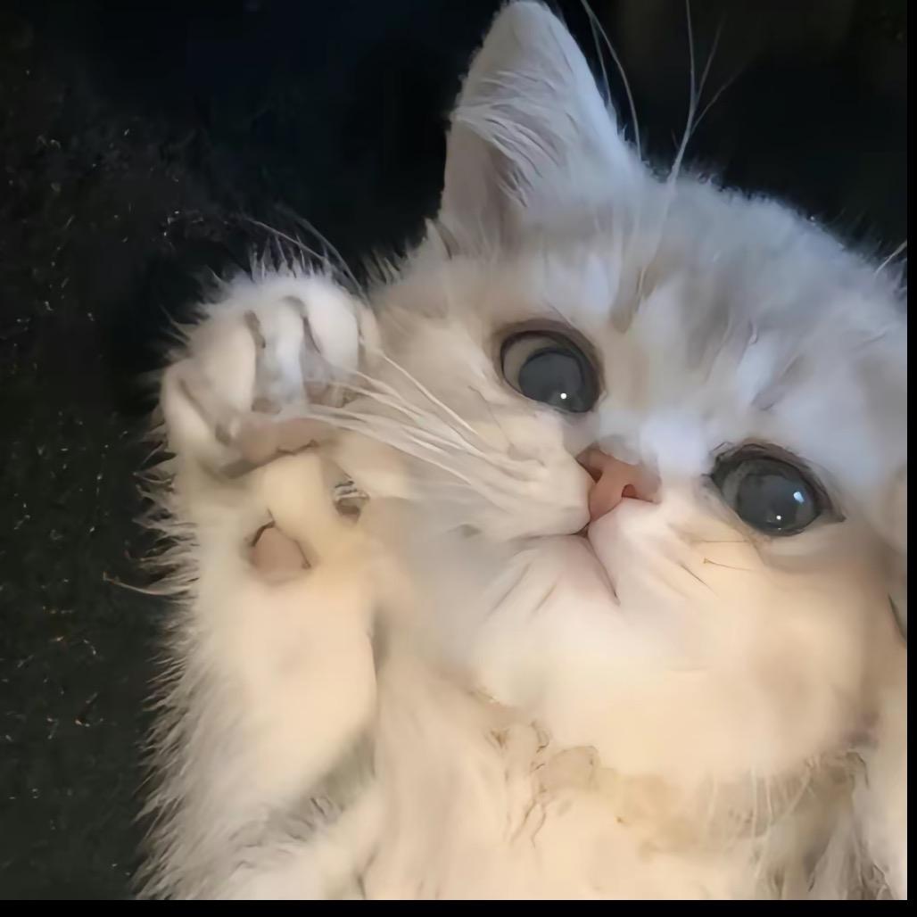 丸丸子