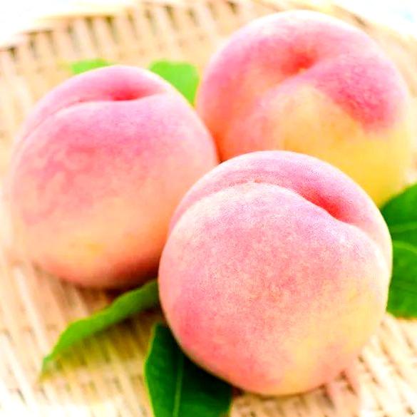 奉化水蜜桃明天到