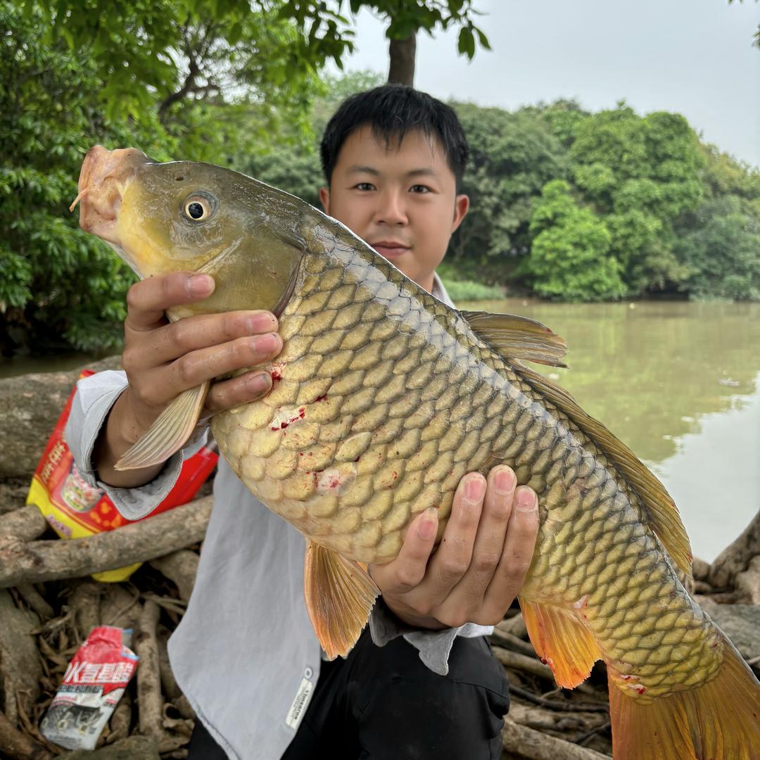 阿龙的钓鱼日记