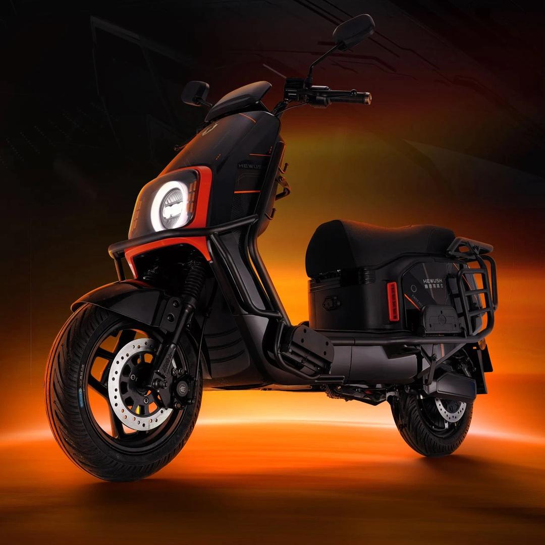 赛鸽黑武士.总店