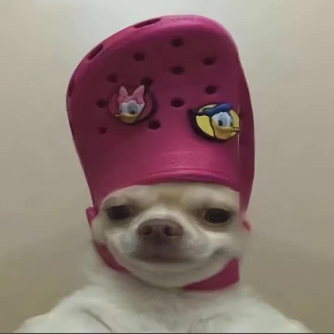 我不好！