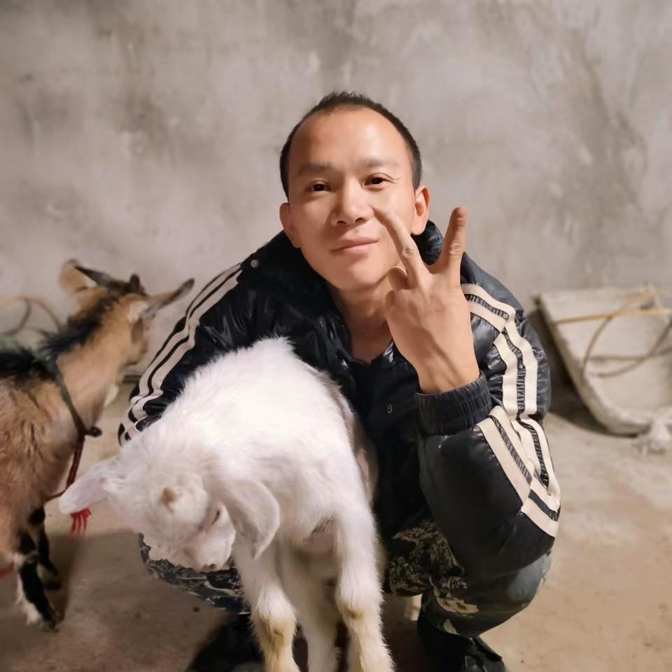 羊先森