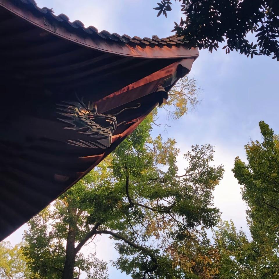 你人还怪好的嘞