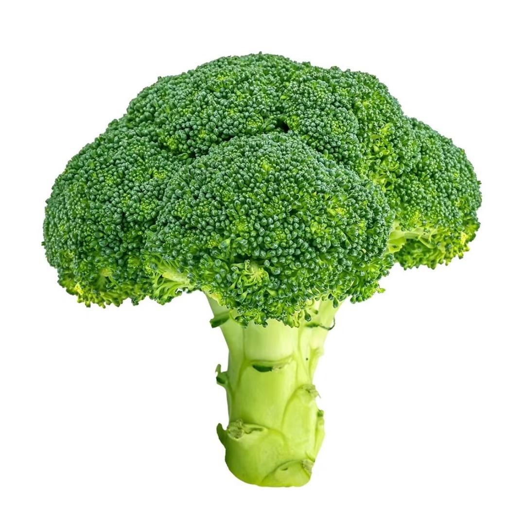 Fusf