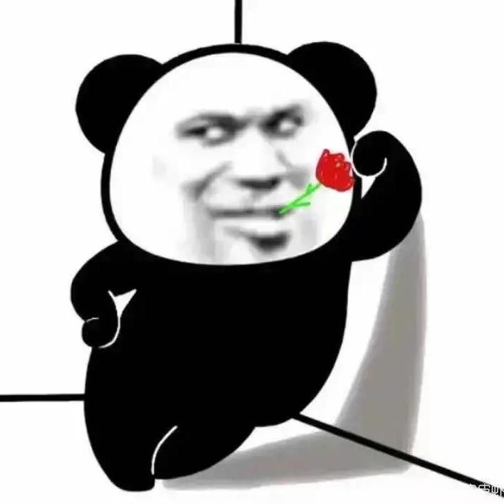 黑壳壳屁班虫🐛