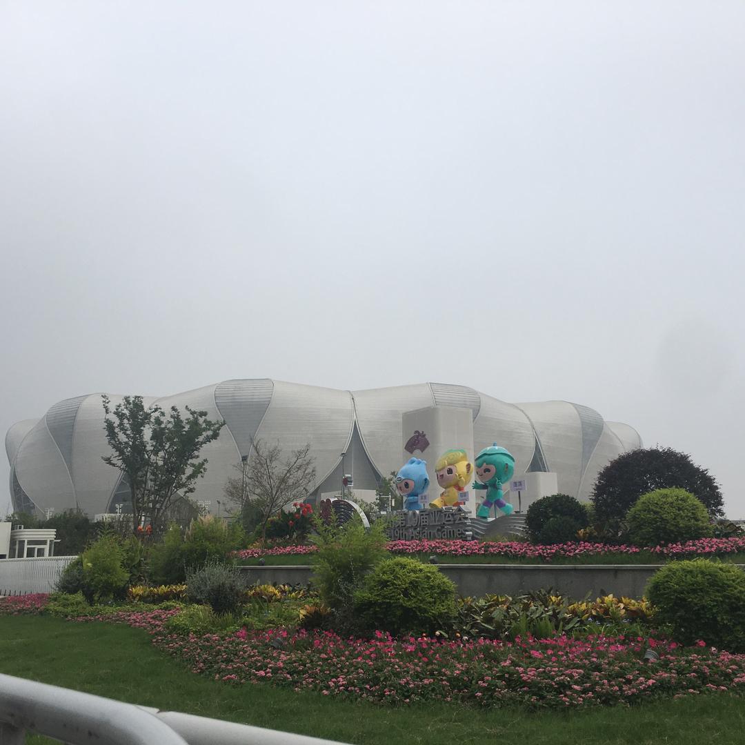 楚楚楚雨