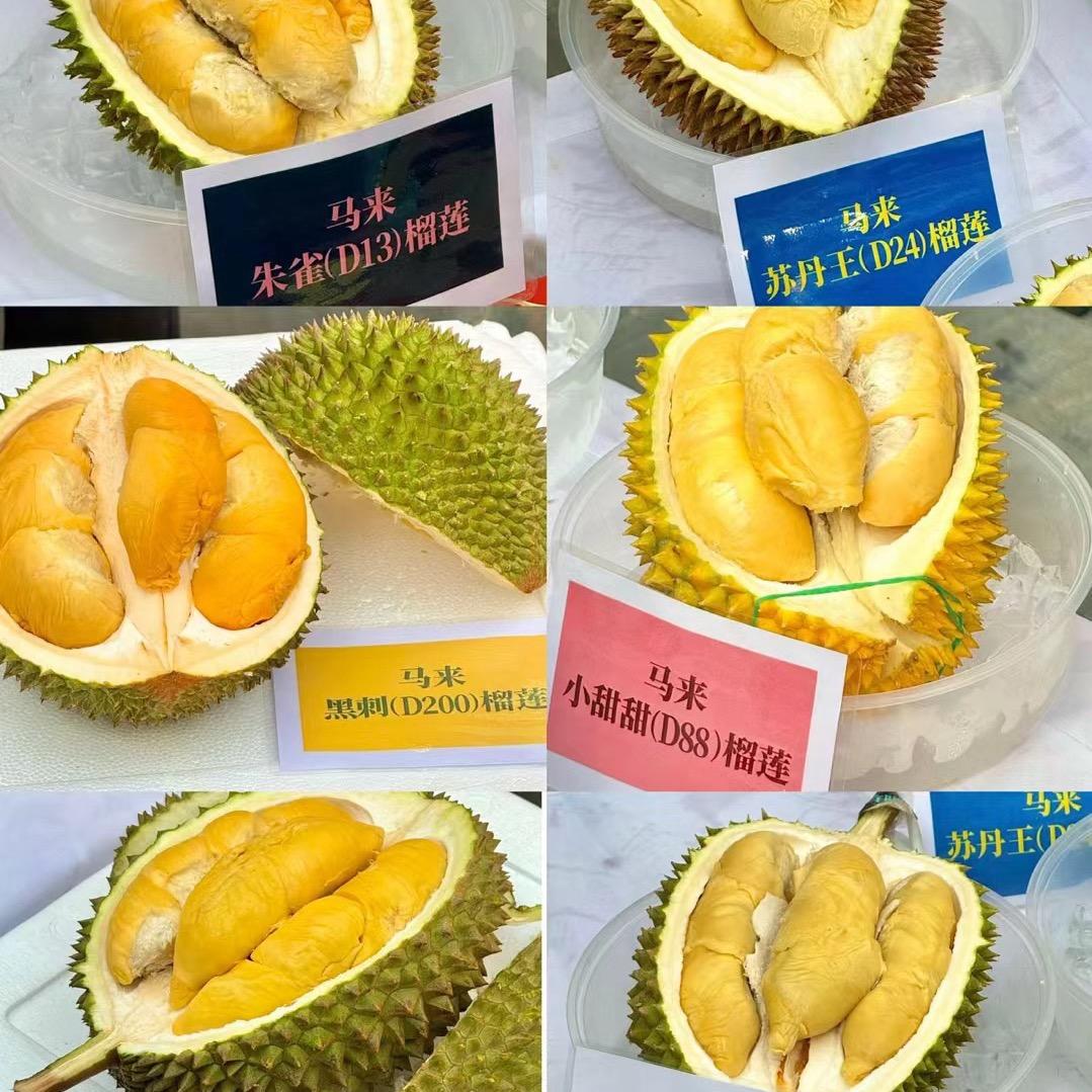 浮生若梦
