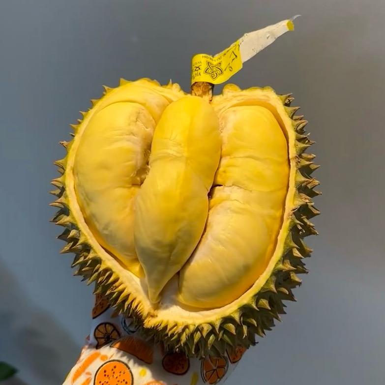报恩榴莲姐妹（源头直发2）