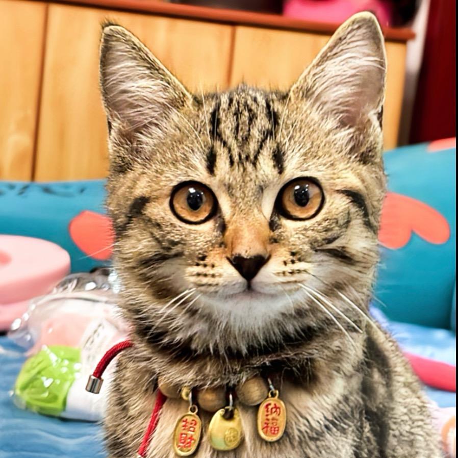 骑着蚂蚁晒星星