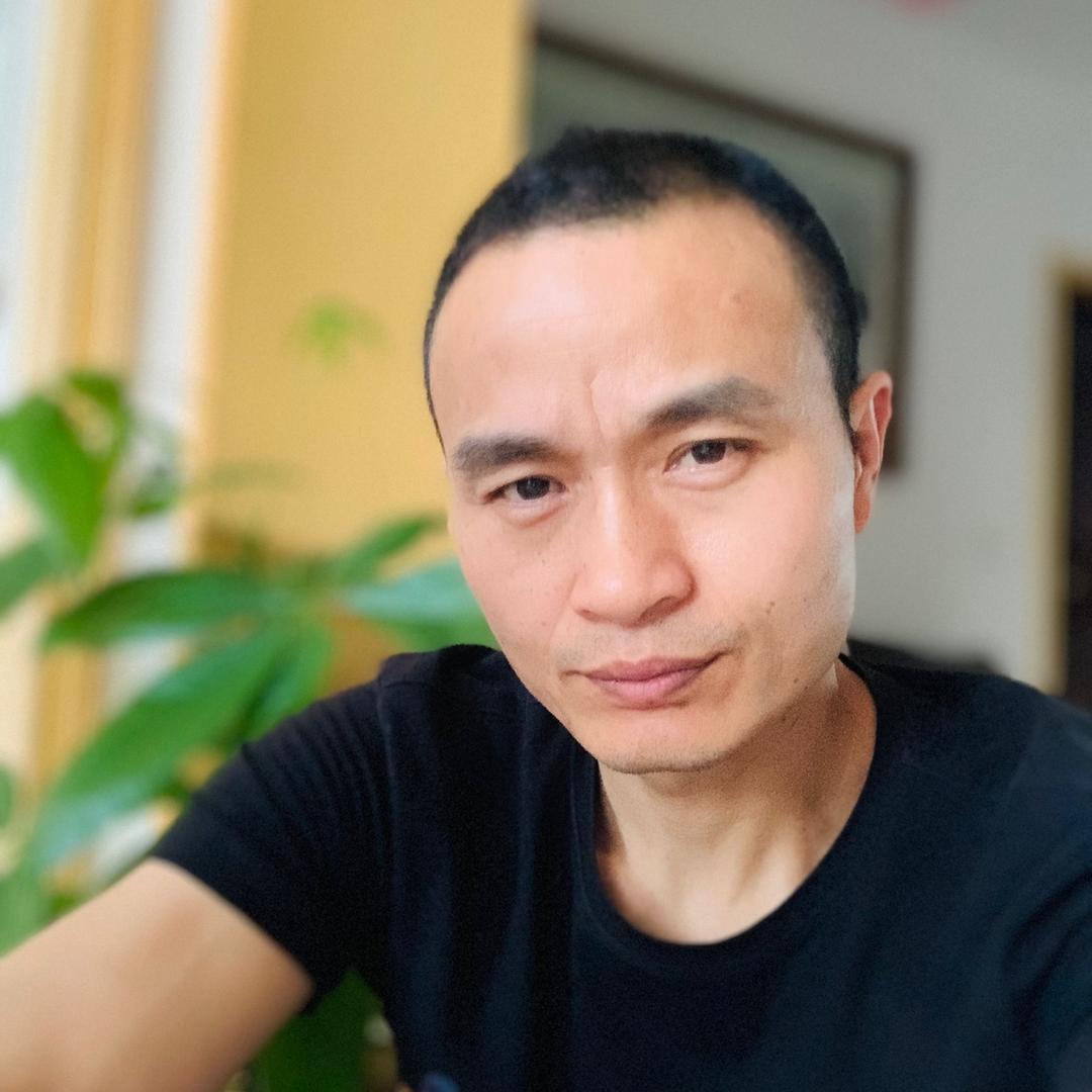 辛歌贴砖