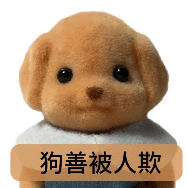 我的常青樹