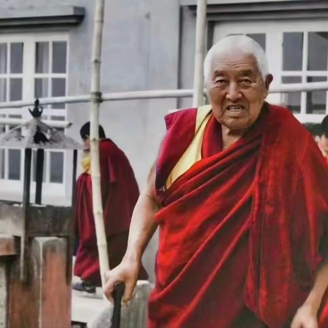 ࿐   @巴青舞者🕺：落桑