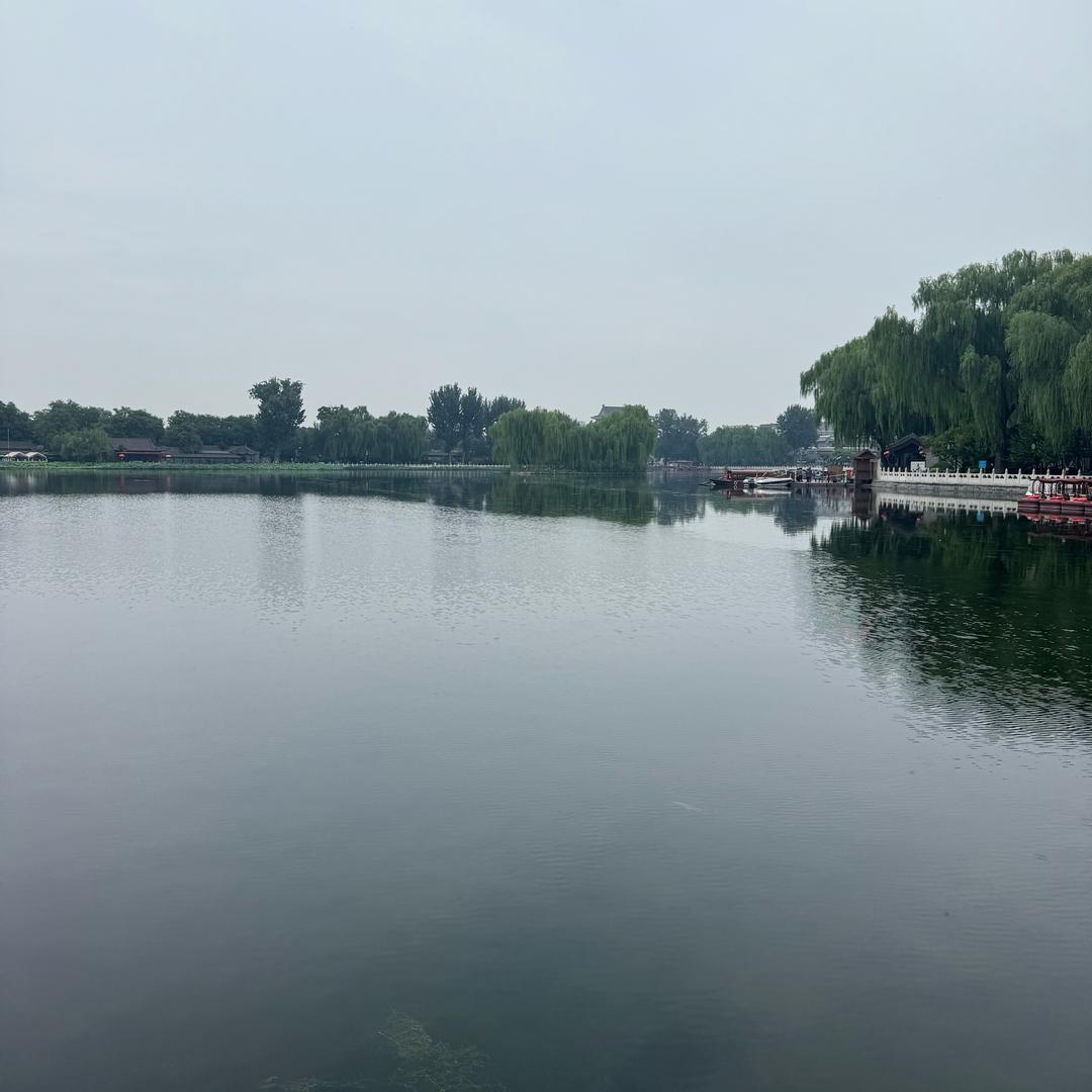 🐢今天没吃饱🐢