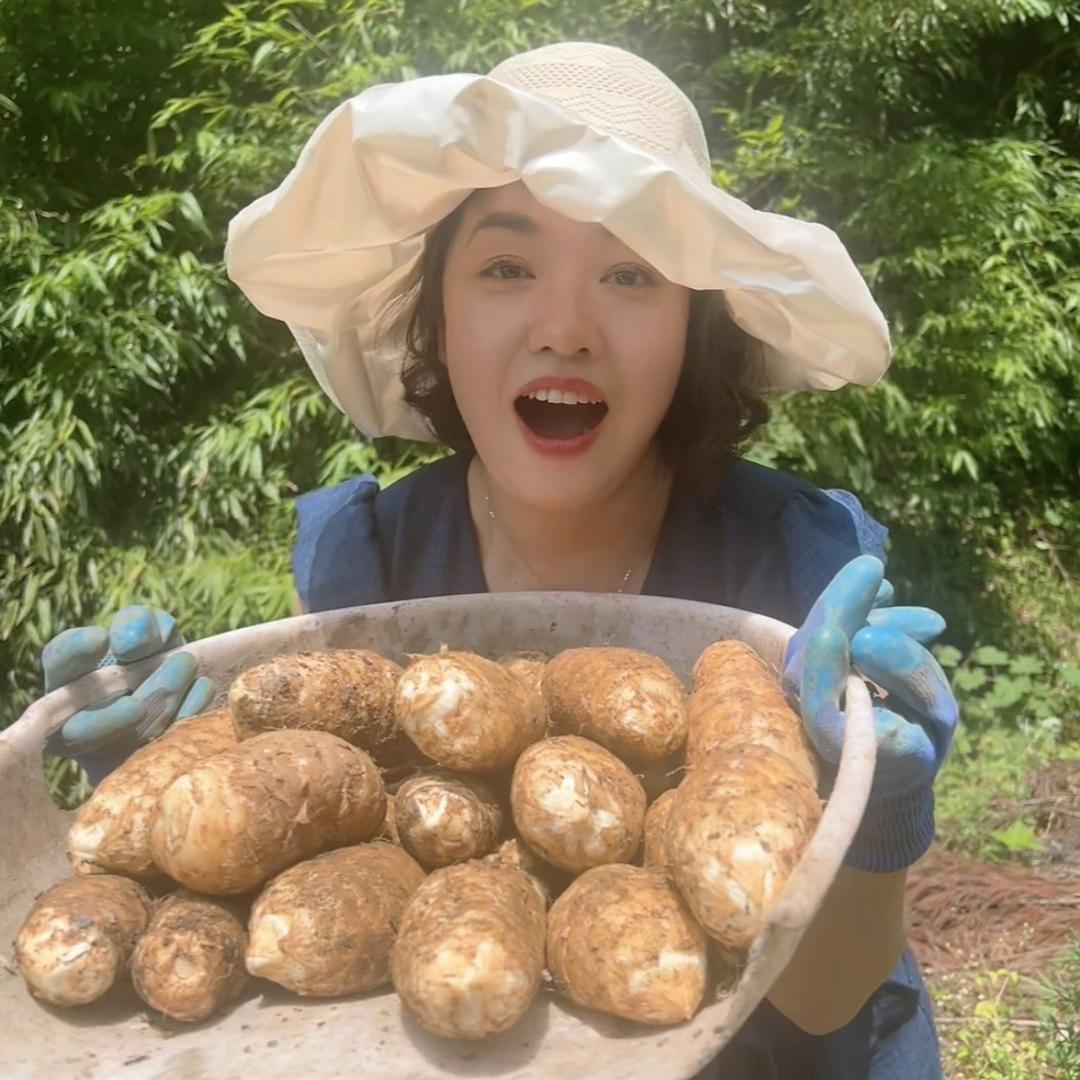 大芹云南农副产品