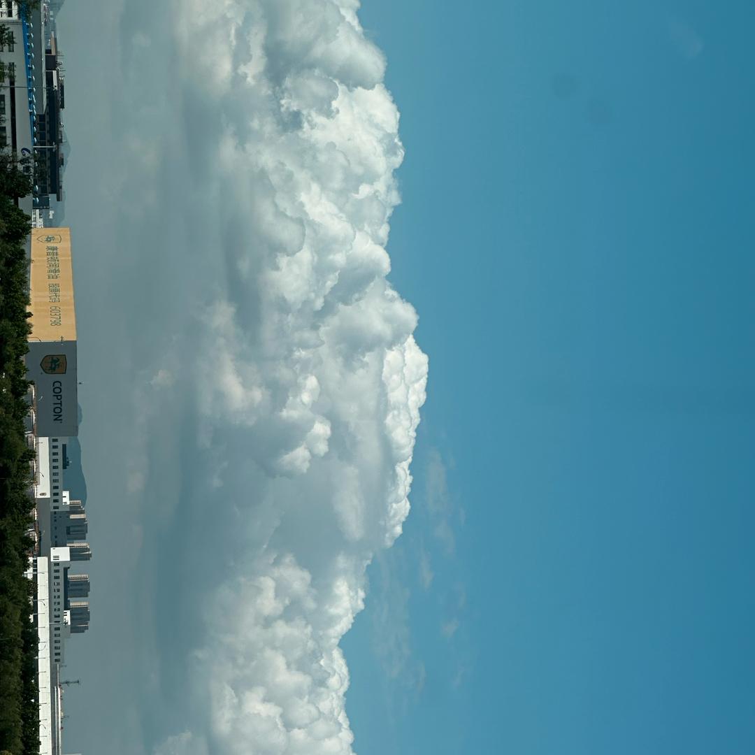 为生活奔波的小女孩