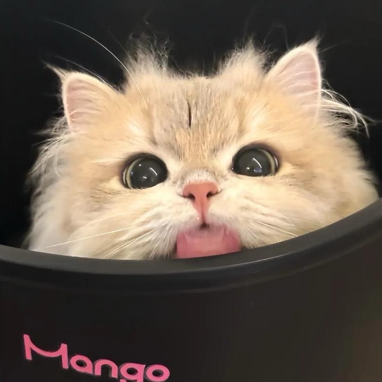 ▷︎|ııı|ıı|||ı|ı20"