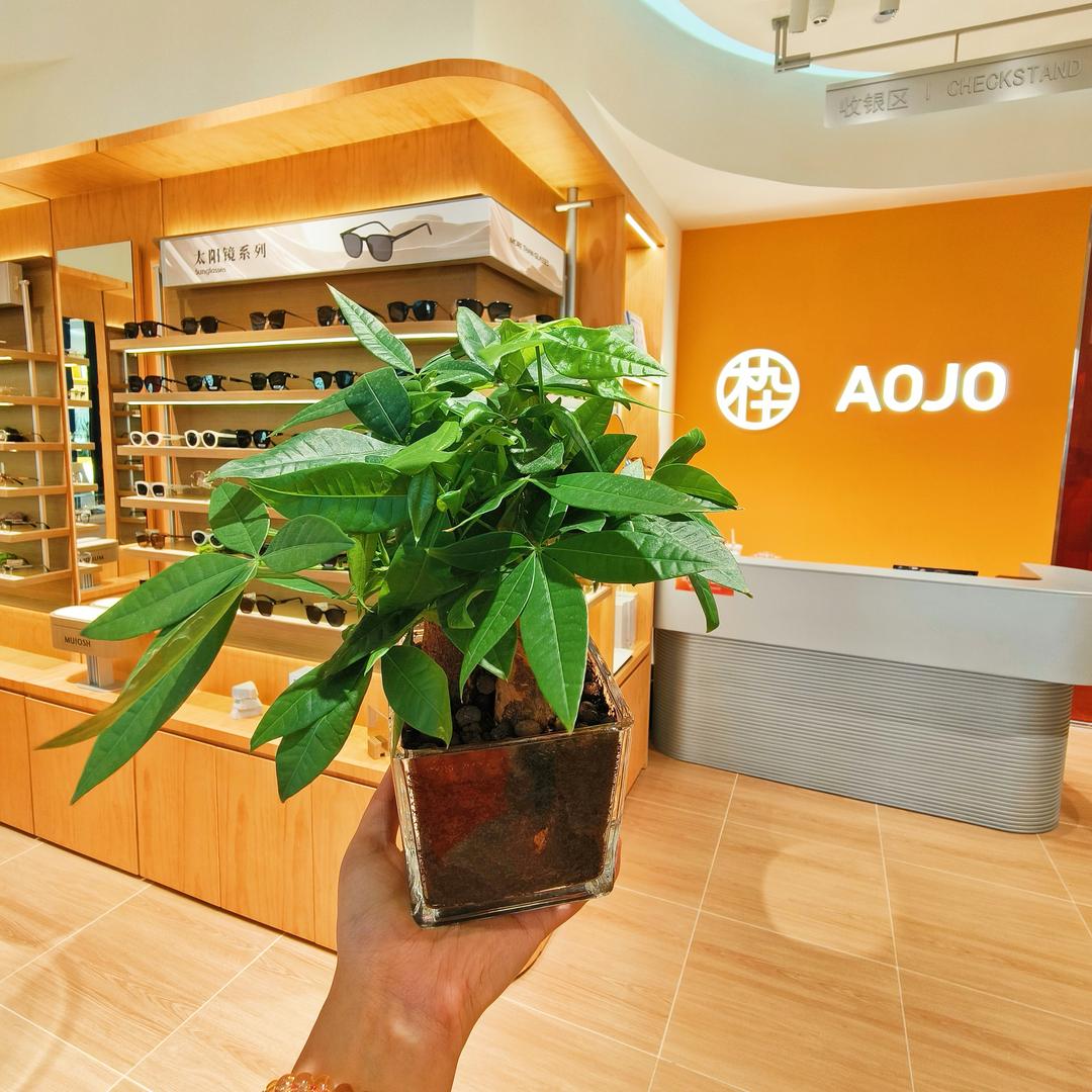 杉杉奥莱 木九十&AOJO