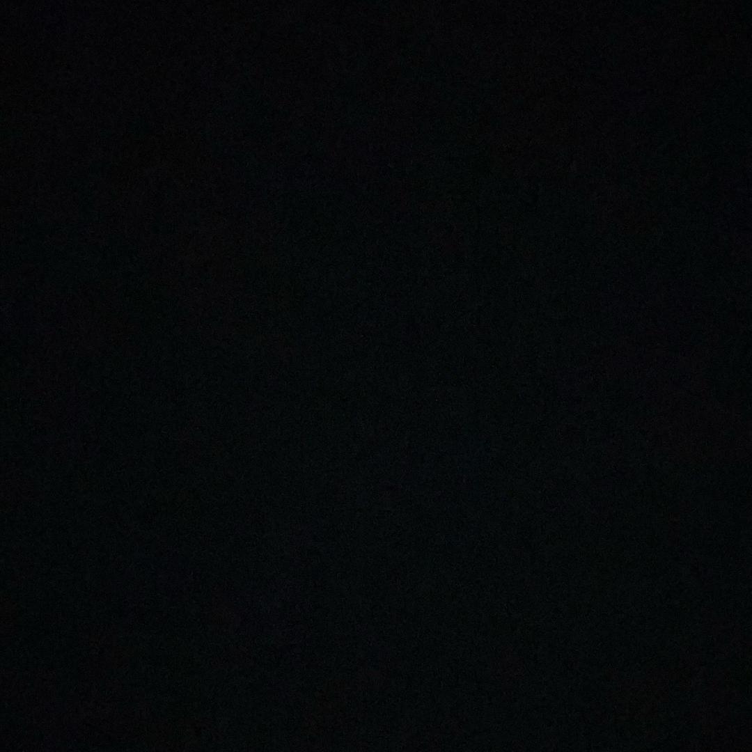 刘振