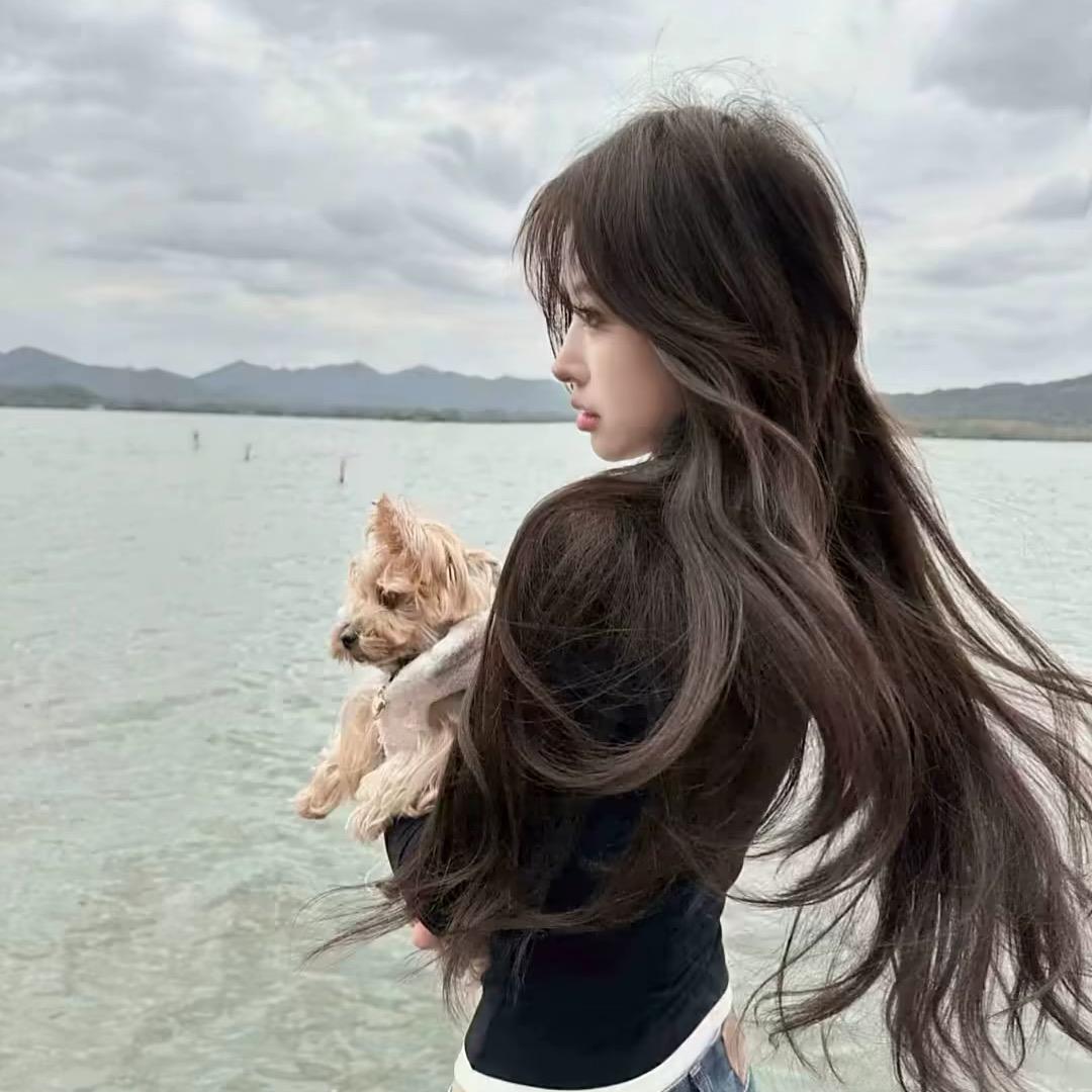 晓雅a.