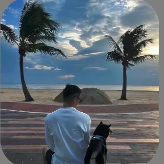 夜里去看海