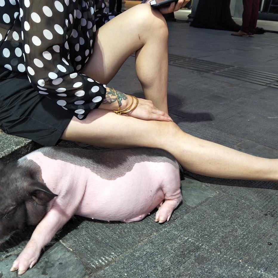 老王•不爱搬砖