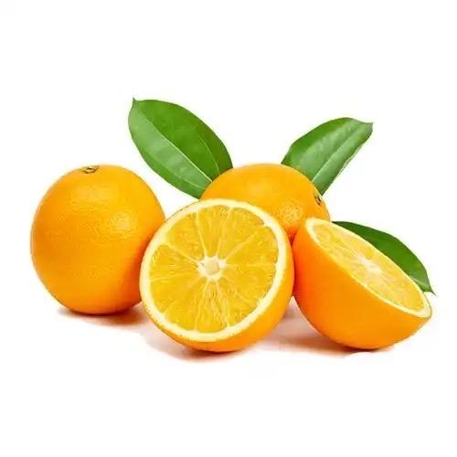 赣南脐橙次日送货上门