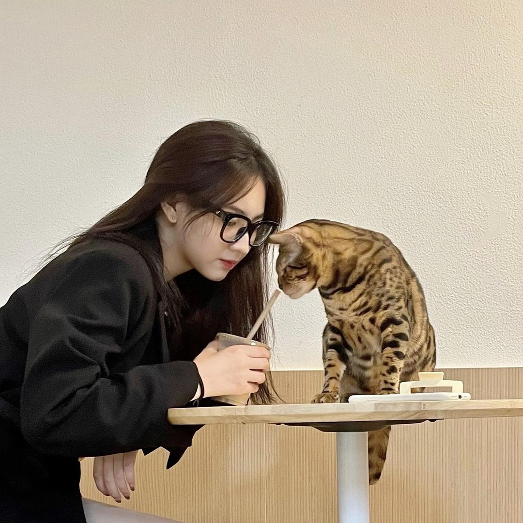 豫豫oo.