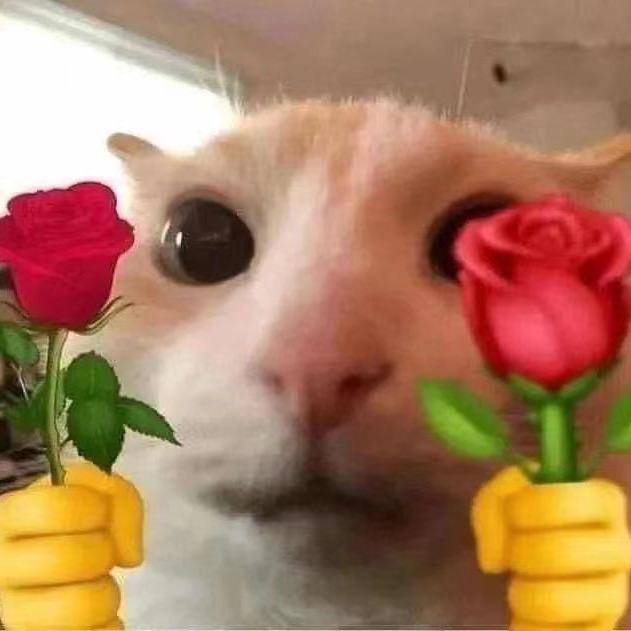 母猫学长