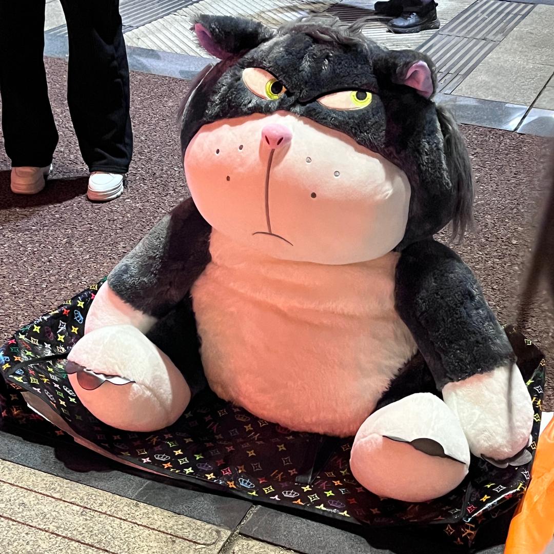 成都社恐崽十一