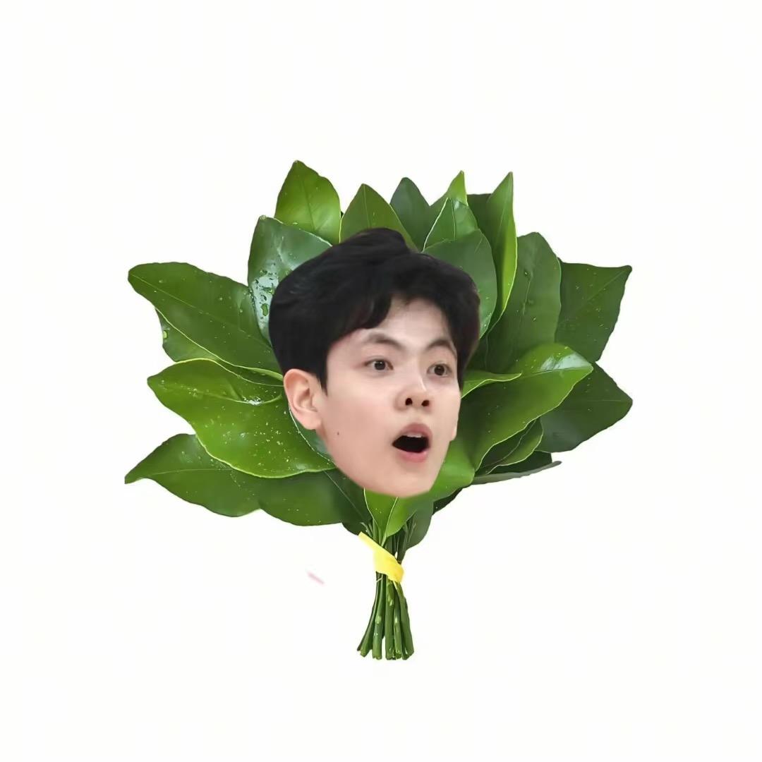 Yang.（见过🦁🦈🐏版）