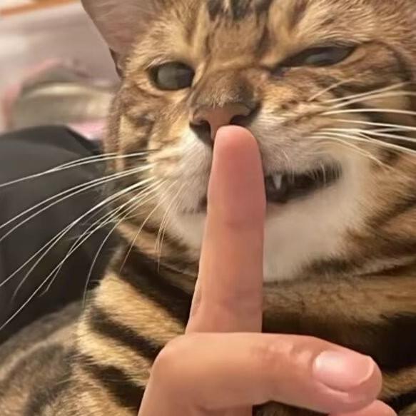 范众仔
