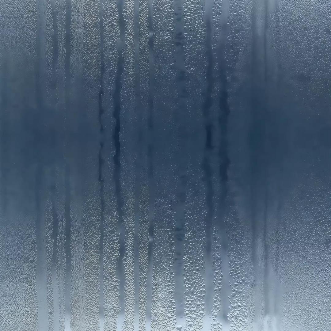 ㅤㅤㅤㅤㅤㅤㅤㅤ