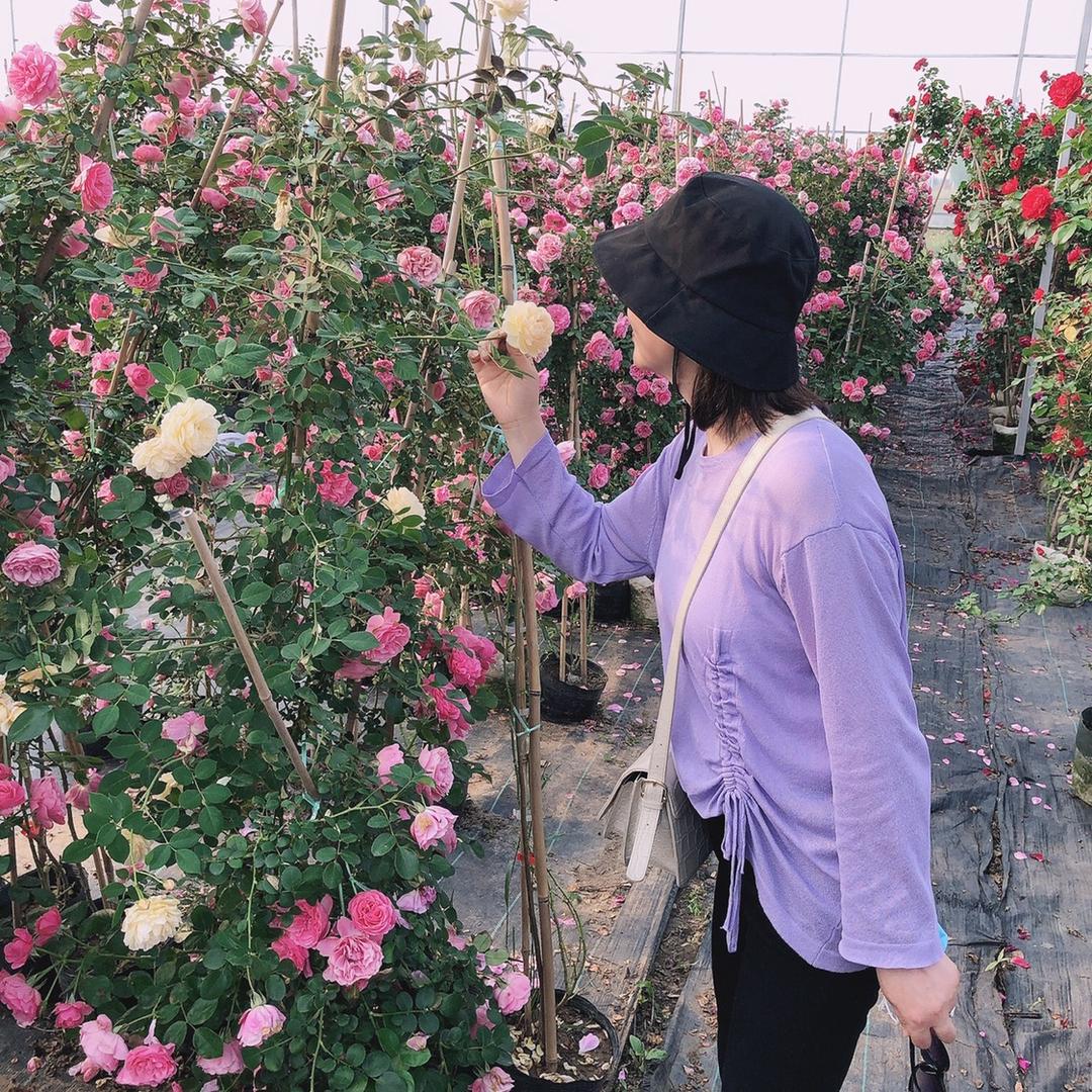 宝应老东门粉小主