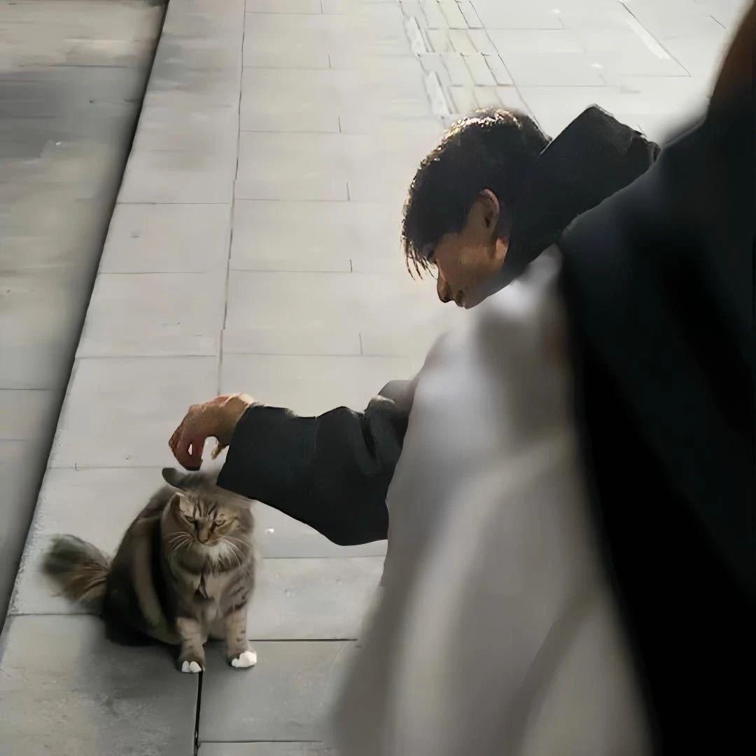 没有破风手