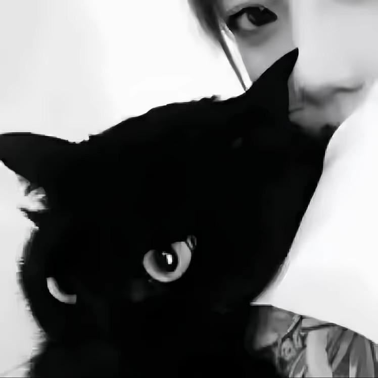 秋刀魚.