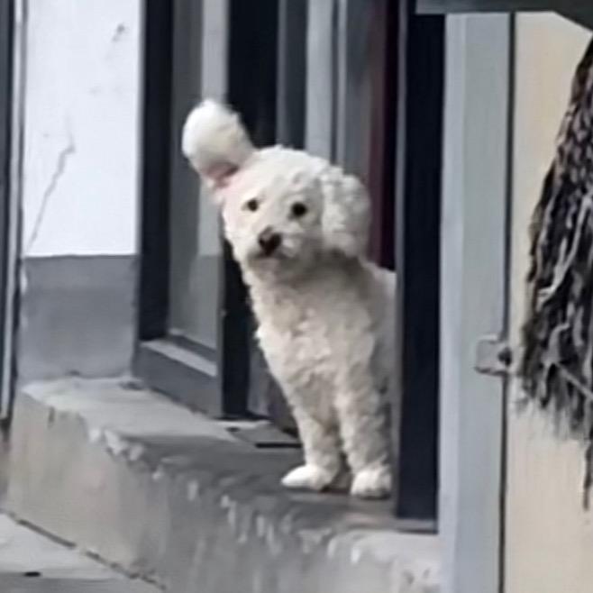 揽