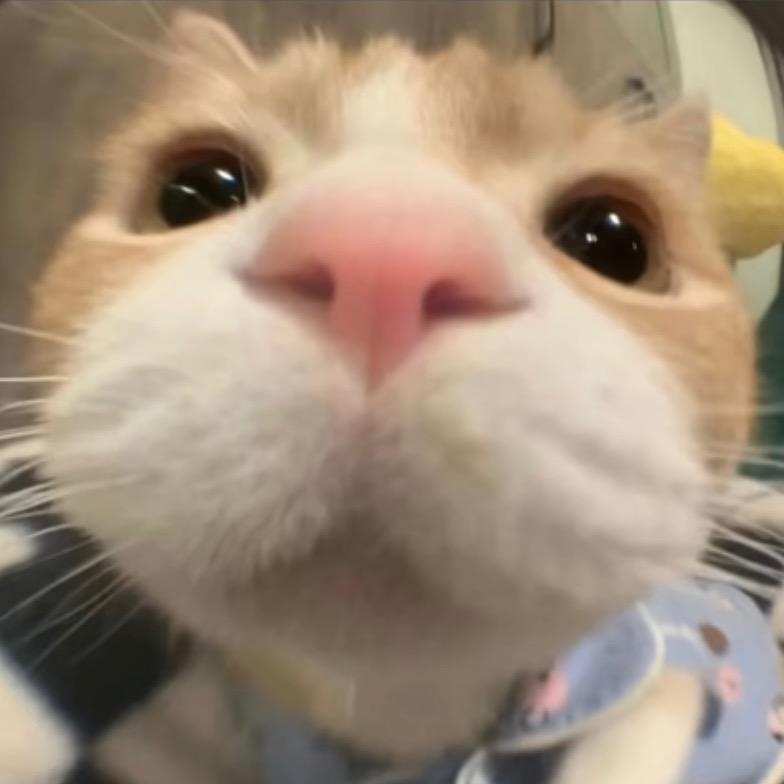 甜辣酱-