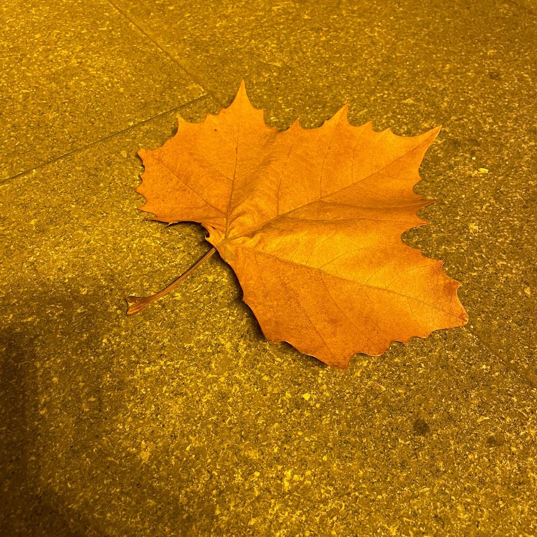 李先生的免费云盘存储空间