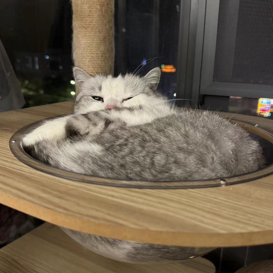 陌汐