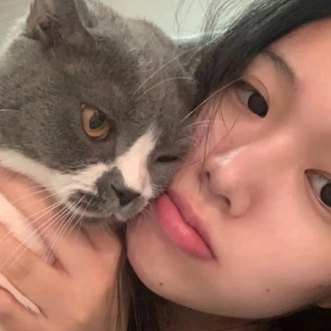 ㅤ     ㅤ     ㅤ