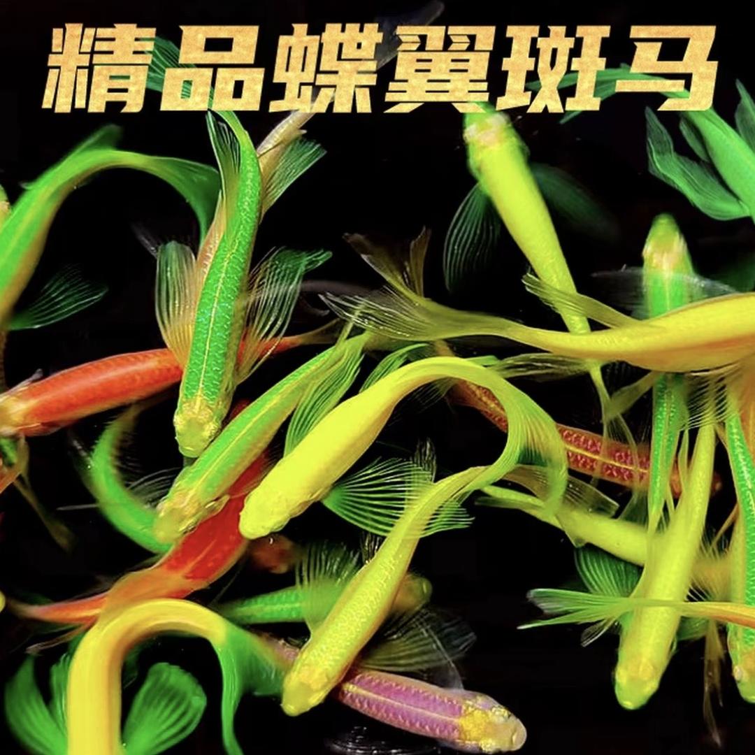 深源水族馆鱼场