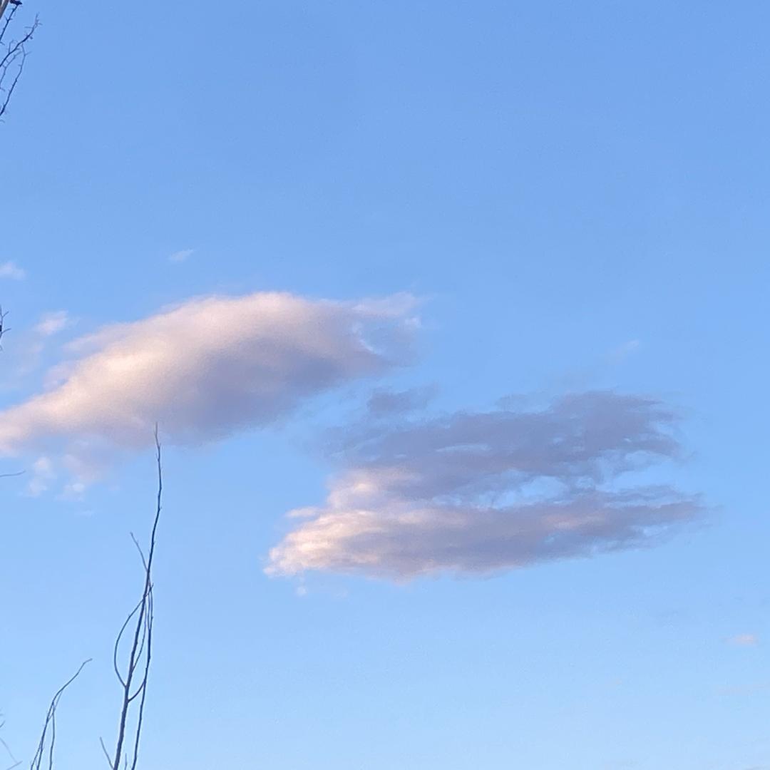 贝拉