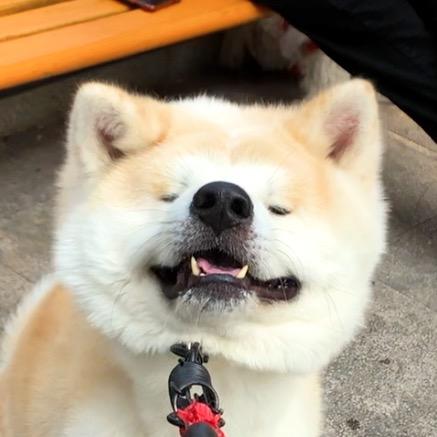 加一呀